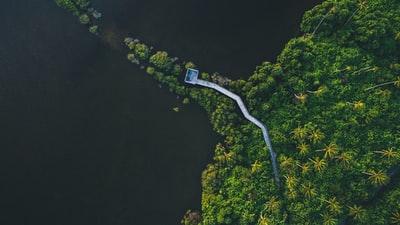 鸟瞰森林和河流